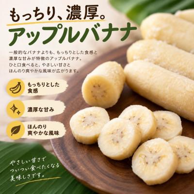 ふるさと納税 本部町 トウメファームが大切に育てた本部町産のアップルバナナ1.5kg〜2.0kg(1房〜2房) |  | 01