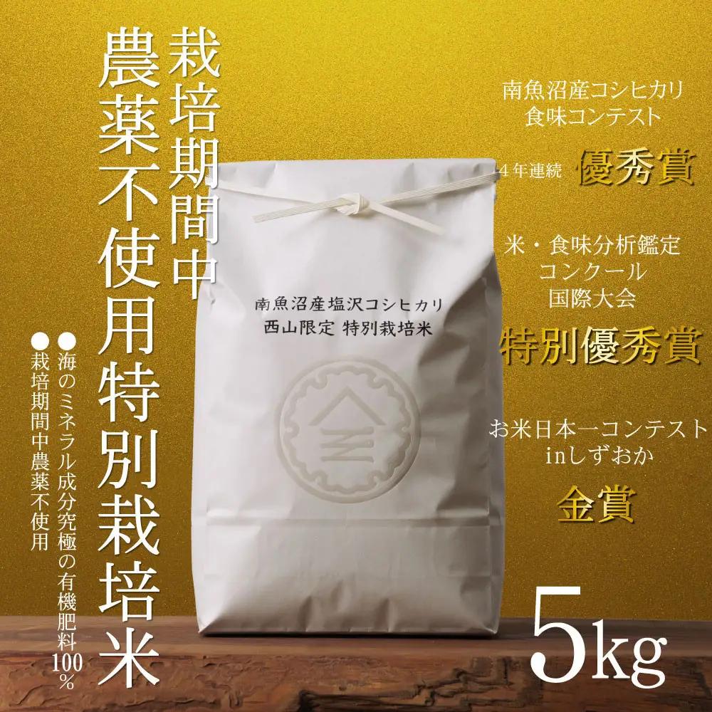 【令和8年新米予約】南魚沼食味コンクール4年連続優秀賞　栽培期間中農薬不使用特別栽培米5kg　南魚沼塩沢産コシヒカリ【2026年10月中旬から1ヶ月以内に順次発送予定】｜コシヒカリ