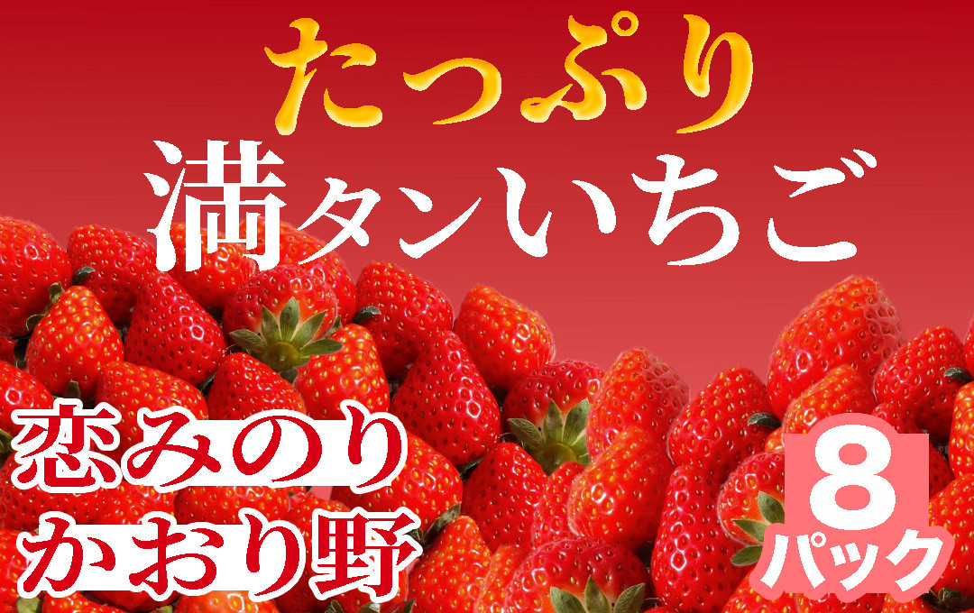 
【2025年3月以降配送】たっぷり 満タンいちご8パック 恋みのり、かおり野　から厳選　【 苺 いちご イチゴ かおり野 恋みのり 産地直送 旬 果物 フルーツ くだもの 静岡県 伊豆 南伊豆町 期間限定 】
