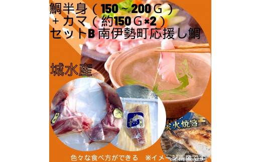 （冷蔵）真鯛 半身 (150ｇ～200ｇ)＋青物 カマ (約150ｇ×2)セットB 南伊勢町 応援し鯛 伊勢志摩 ／ 城水産 ふるさと納税 寄付 魚 ヒラマサ かんぱち たい 刺身 真空チルド 三重県