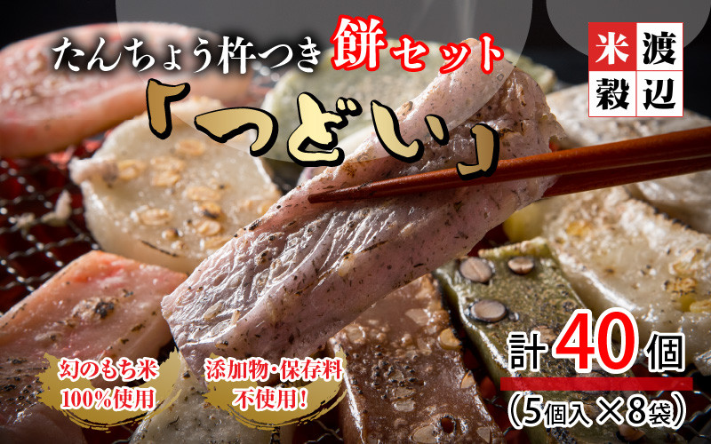 
            【先行予約】 たんちょう杵つき餅セット 『つどい』 計40個 ～幻のもち米100％使用～ 【2024年11月下旬以降順次発送予定】 【つきたて モチモチ 添加物・保存料不使用 焼いてそのままでも おやつに 餅 もち おもち お餅 丸もち 福井 坂井市】 [A-2961]
          