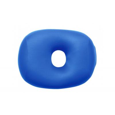 ふるさと納税 鳥取市 ホールピロー ロイヤルブルー