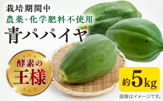 糸島産 青パパイヤ 約5kg 糸島市 / 食と健康のブリッジベース 野菜 タイ料理 [ANN001] 珍しい 野菜 EM栽培 EMぼかし 栽培期間中農薬不使用 化学肥料不使用