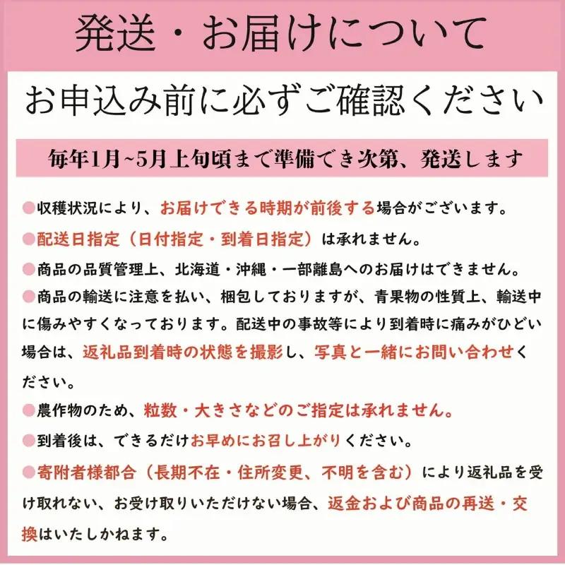 とちおとめ 約2kg いちご 【 とちおとめ 】 先行予約