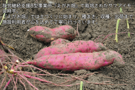 『えがお畑』で採れたサツマイモ金時芋 5kg