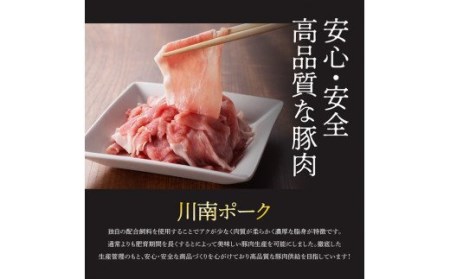 川南ポーク豚肉切り落とし4.5kg（250g×18袋）【 豚肉 豚 肉 切落し 九州産豚肉 国産豚肉 宮崎県産豚肉 豚肉切り落し 】