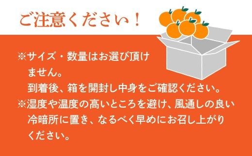 紅まどんな × 甘平 みかん ミカン 愛果48号 新品種 柑橘 かんきつ 国産 愛媛みかん 愛媛ミカン 愛媛県 上島町
