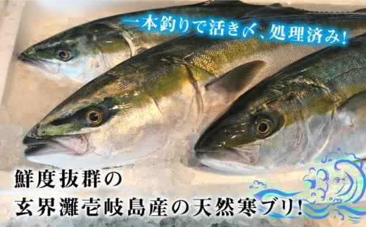 【年内発送】【お正月用】壱岐島産天然寒ブリ（8ｷﾛ台・丸もの） [JBS017]