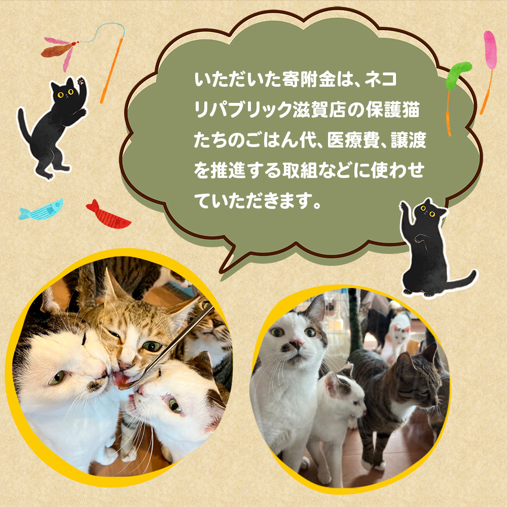里親募集保護猫カフェの支援【お礼の品なし】 BR06