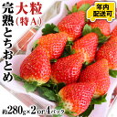 【ふるさと納税】 【12/15までの申込で年内にお届け！】完熟 とちおとめ 約280g×2～4パック 年内お届け 国産 いちご イチゴ 苺 果物 フルーツ 茨城県産 KEK