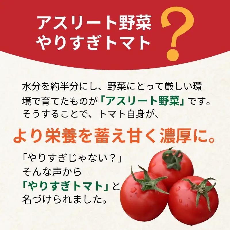 【トマト】高糖度やりすぎトマト 1kg（2026年12月上旬～発送）