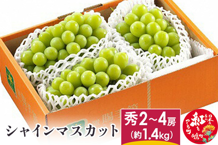 シャインマスカット 秀2～4房(約1.4kg)  山形県産 フルーツ 果物 ブドウ ぶどう 葡萄 【2025年9月下旬～10月上旬に順次発送予定】