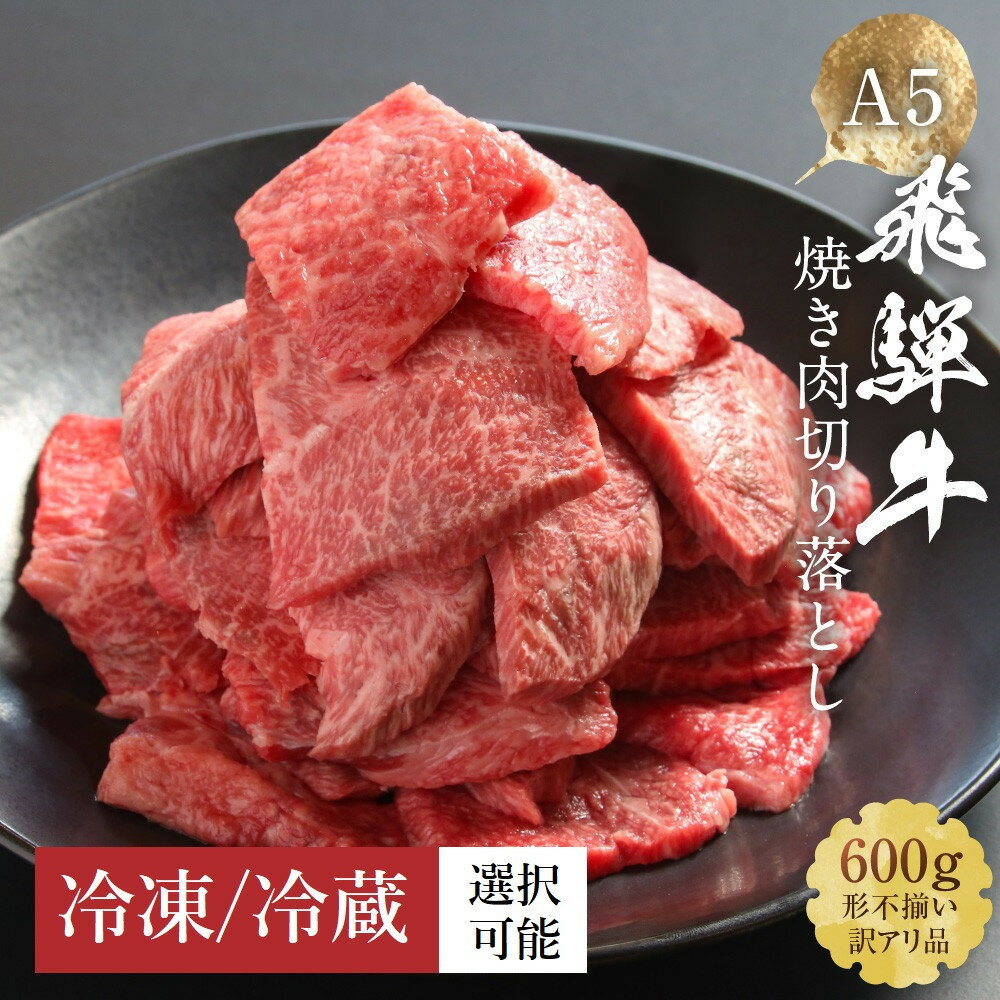 【ふるさと納税】【形不揃い訳あり】A5等級飛騨牛 焼肉 切り落とし600g【冷蔵・冷凍配送が選べる】| 牛肉 肉 和牛 キャンプ 肉料理 ブランド牛 不揃い 人気 国産 お取り寄せ グルメ おすすめ 株式会社岩ト屋 HF040MP