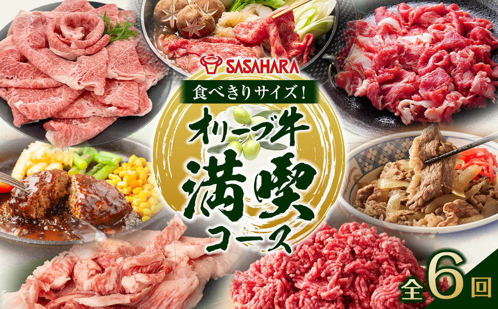 【全6回】食べきりサイズ！オリーブ牛の満喫コース 372013_HM242