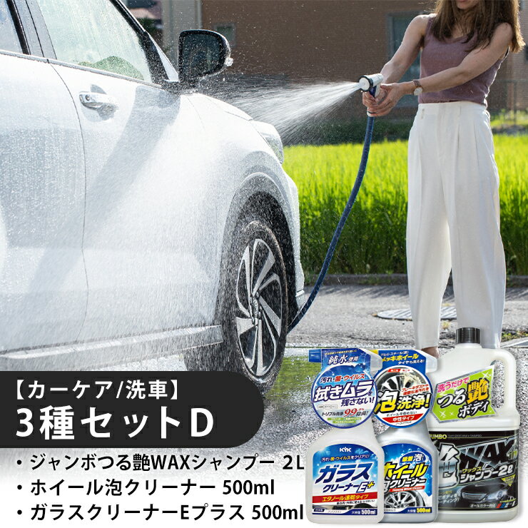 【ふるさと納税】【カーケア／洗車】3種セットD　【掃除】車【洗車】 自動車 水垢 大容量 【カーケア】【大掃除】掃除 グッズ 日用品 洗車用品 洗剤 車用洗剤 汚れ落とし 本体 大 生活用品 液体洗剤 家族 家庭 消耗品 まとめ買い 詰め合わせ セット