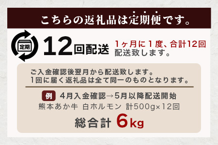 【定期便12回】熊本あか牛 白ホルモン 500g (250g×2)×12回 【 合計 6Kg 】 冷凍真空パック 熊本 熊本県産 あか牛 冷凍 真空 もつ鍋 ホルモン 焼き肉 041-0163