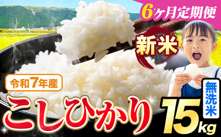 【6ヶ月定期便】令和7年産 新米 こしひかり 15kg 定期便《お申込み月の翌月から出荷開始》熊本県産 ふるさと納税 無洗米 精米 ひの 米 こめ ふるさとのうぜい コシヒカリ コメ お米 おこめ