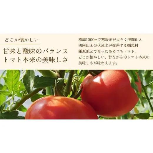 【8月下旬発送開始】 ミニトマト 約 230g × 4パック 【 あめつち農園 】 [BP001tu]