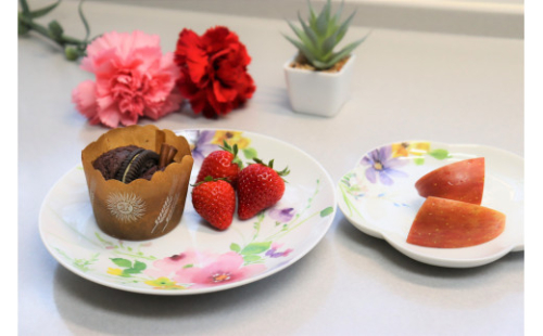 有田焼 花かれん お皿セット 母の日 大慶 A18-183