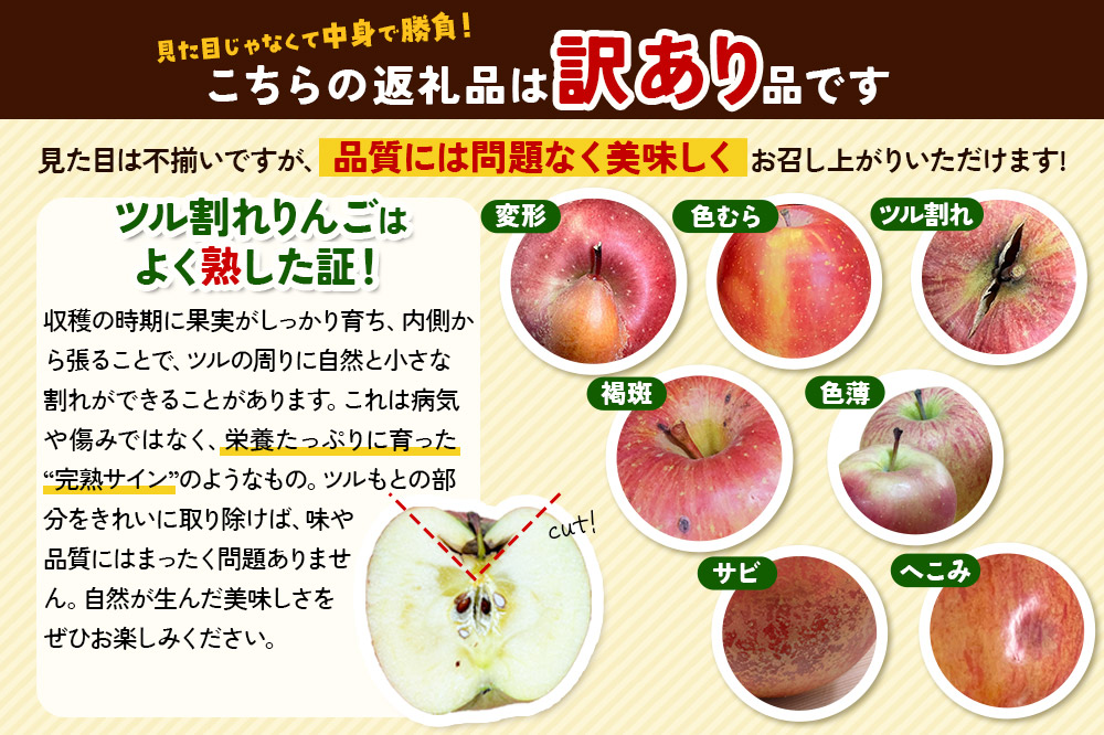 りんご 王林 約3kg（8～12玉程度）【訳あり】家庭用 toki farm