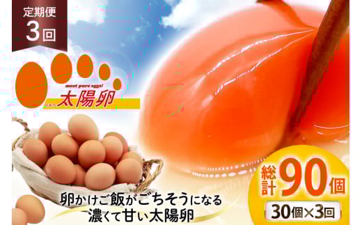 定期便 3回 卵 太陽卵 10個入 3パック 総計90個 [落水正商店 長崎県 雲仙市 item2158] たまご タマゴ 鶏卵 玉子 生卵 九州産 国産 卵焼き 玉子焼き たまご焼き