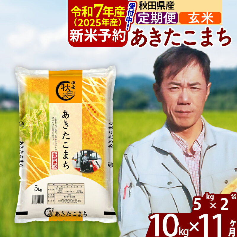 【ふるさと納税】※令和7年産 新米予約※《定期便11ヶ月》秋田県産 あきたこまち 10kg【玄米】(5kg) 2025年産 お届け周期調整可能 隔月に調整OK お米 みそらファーム