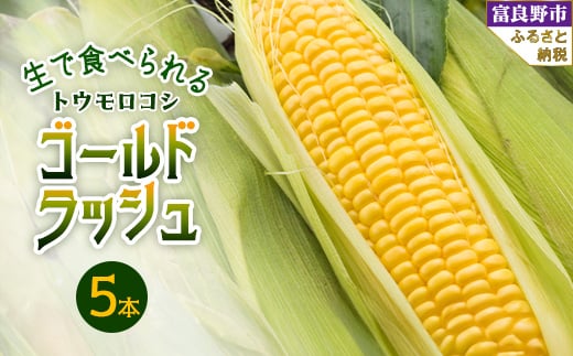 
                  2026年先行予約　生で食べられるトウモウロコシ　ゴールドラッシュ 5本入り_ とうもろこし トウモロコシ コーン ゴールドラッシュ 国産 北海道産 富良野 生 朝どれ 産地直送 冷蔵 高糖度 贈答 ギフト 限定 送料無料 【1483617】
                
