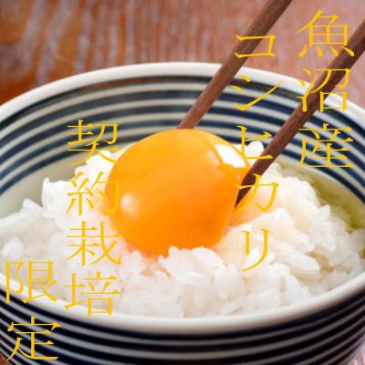 ふるさと納税 魚沼市 【雪国逸品 精米1kg】越後魚沼郷 魚沼産コシヒカリ |  | 01