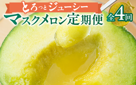 【定期便】先行予約 マスクメロン 4回  伊良湖産 2玉 2026年6月スタート  箱詰め メロン フルーツ 果物 お中元 お取り寄せ ギフト 渥美半島 田原市  マルカ農園 産地直送 送料無料 48000円