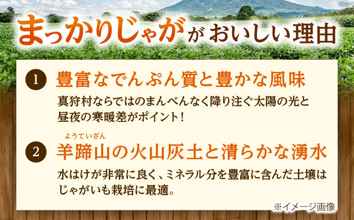 【2026年10月中旬以降順次発送】 じゃがいも キタアカリ（まっかりじゃが）5kg | じゃがいも ジャガイモ キタアカリ 野菜 北海道 産地直送 | 道の駅 真狩フラワーセンター [BPAM015