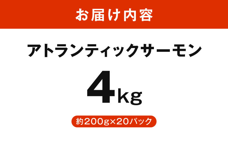 アトランティックサーモン 4kg【小分け 200g×20P 柵切り 刺身 魚介 海鮮 さーもん 生食】 G3552
