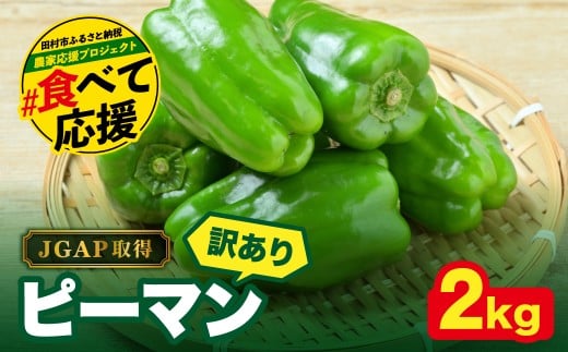 農家さん応援！ 【訳あり】 ピーマン 2kg JGAP取得 農家直送 冷蔵便 野菜 新鮮 BBQ 焼肉 国産 おすすめ 送料無料  緊急支援品 生活応援 コロナ支援 福島県 田村市 株式会社Mファーム