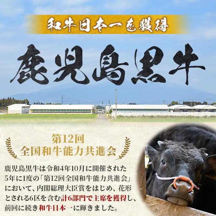 牛肉切り落とし 鹿児島黒牛 3kg【新村畜産】B01030
