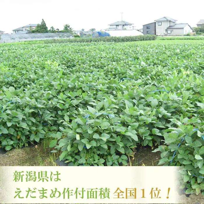 【先行予約・2回お届け定期便】朝採り くろさき茶豆 1.2kg×2回（計2.4kg）｜芳醇な香りと濃厚な旨み〈GI登録産品〉2026年8月発送
