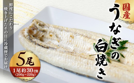 「国産うなぎの白焼き」 5尾セット【凍らさず美味しさそのまま！〆たて・焼きたてを冷”蔵”で発送】地元飲食店に愛される、美味さにこだわった「国産うなぎの白焼き」 特上 うなぎ 蒲焼 ウナギ 鰻蒲焼き うなぎ蒲焼き 白焼き 5尾 人気 国産 浜名湖 うなぎ 関西 鰻蒲焼 養殖 冷蔵 ギフト ご褒美 人気 京都　京都府 福知山市 FCF016