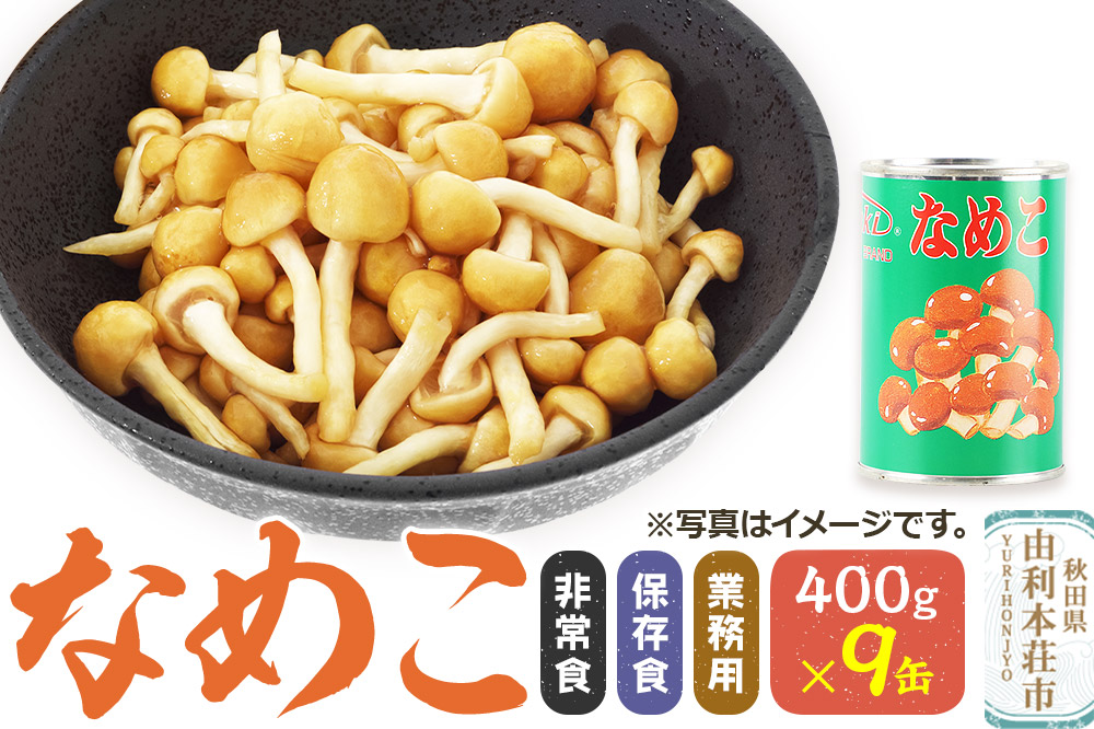 なめこ 400g(固形量200g)×9缶 缶詰 国産 非常食 保存食 業務用