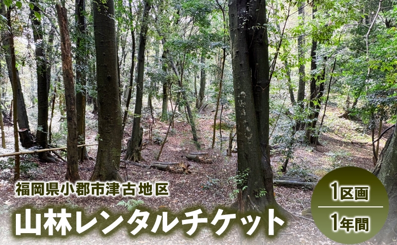 
                  チケット 山林レンタルチケット 小郡市津古地区 1区画 1年間
                