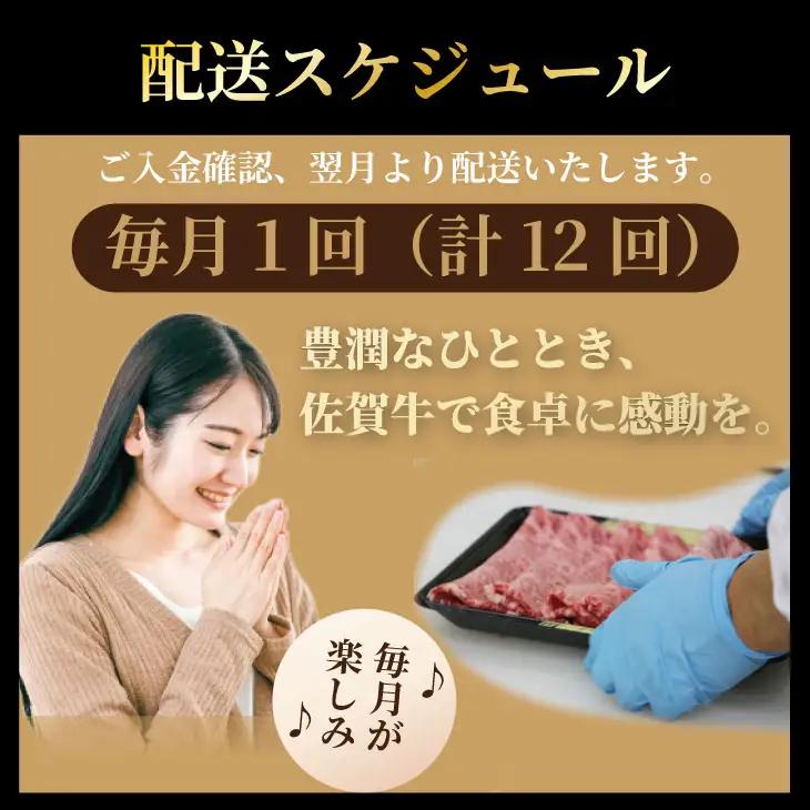 【12回定期便】佐賀牛 牛肉 定期便 Q264-001