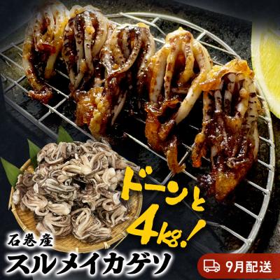 ふるさと納税 石巻市 訳あり 石巻産スルメイカゲソ 4kg 9月配送 冷凍 国産 いか 下足 おつまみ ゲソ天 おかず
