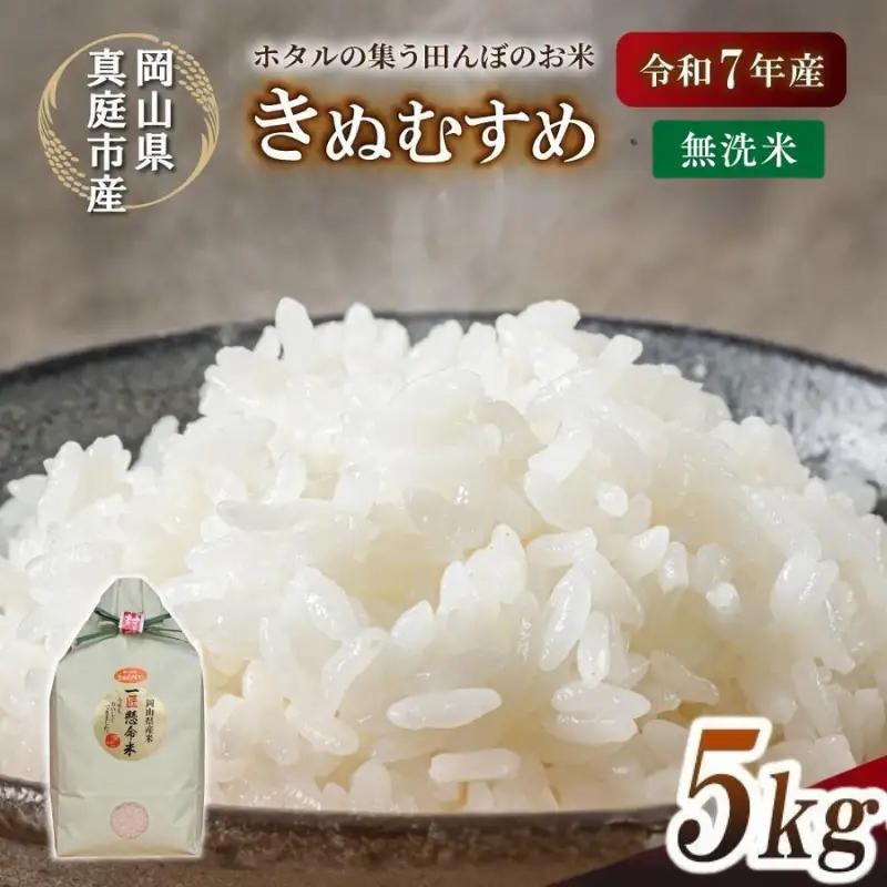 米 岡山県真庭市 きぬむすめ5kg 米  【tkns007-02】