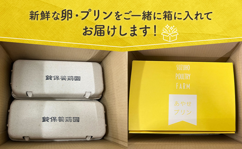 卵 鈴保養鶏 うみたて 卵 スイーツ セット たまご 20個 プリ