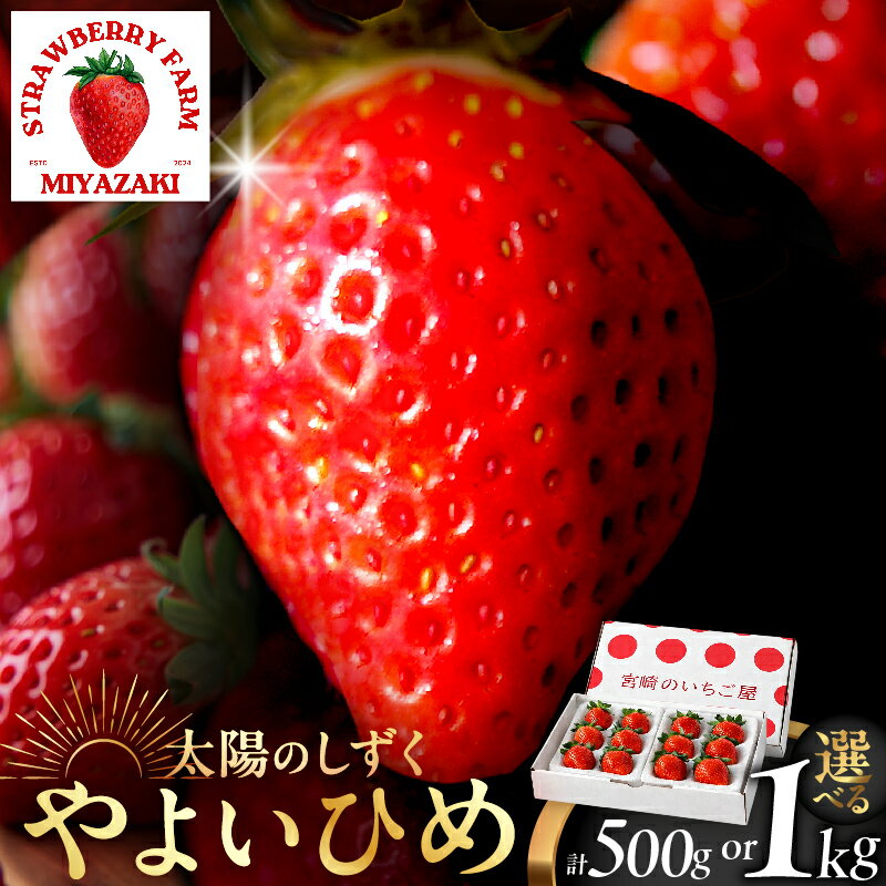 【ふるさと納税】≪数量限定≫ 都農町産 いちご 「やよいひめ」計500g 1kg 期間限定 苺 イチゴ itigo フルーツ 果物 くだもの デザート おやつ 2026年 いちご大福 いちご煮 果物ジュース おすすめ 産地直送 ご褒美 お祝い おすそ分け 国産 食品 宮崎県 送料無料