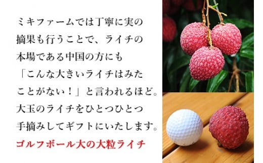 ＜宮崎県産 生ライチ 大粒12個入り＞