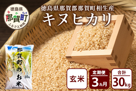 【お米の定期便3回】那賀町のお米 キヌヒカリ (玄米) 10kg×3回 計30kg【徳島県 那賀町 相生 国産 玄米 キヌヒカリ 10kg 10キロ 30kg 30キロ 産地直送】YS-30