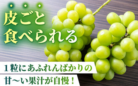 【先行予約】【訳あり】 シャインマスカット 約1.3kg(3?4房)【合同会社 社方園】[ZBZ029]
