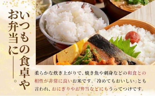 令和8年産の新米ひとめぼれ(白米)5kg【米・白米・新米・ひとめぼれ】 5kg
