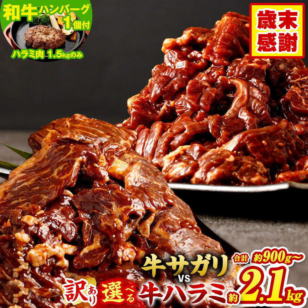 【訳あり】秘伝コク旨たれ漬け牛サガリ肉 1.5kg 300g×5 希少部位 牛サガリ肉 秘伝のタレ 牛肉 お肉 ハラミ タレ漬け 味付き 不揃い サガリ 焼き肉 BBQ 焼くだけ 簡単 肉 おかず 惣菜 真空パック 小分け 冷凍 送料無料