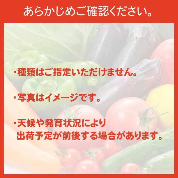 【6回定期便】直売所より発送！季節の野菜セット 7?10品目 / 野菜定期便 / ながさき南部生産組合 [SBW004]