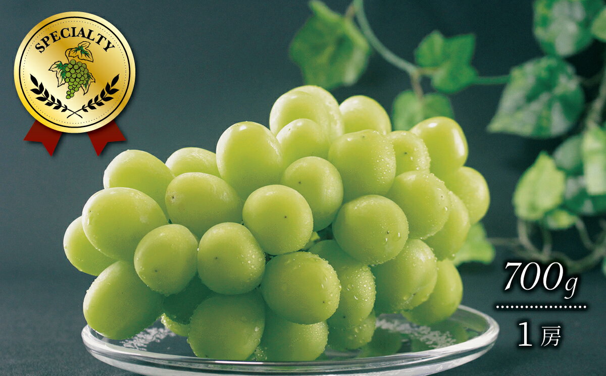 【ふるさと納税】【2026年収穫分先行予約】果実の楽園まきぱらの特選シャインマスカット(種なし)約700g(1房)