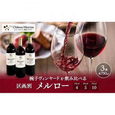 ふるさと納税 上田市 限定 年ヴィンテージの限定品区画別メルロー 3本セット メルロー 750ml 赤[54040431]